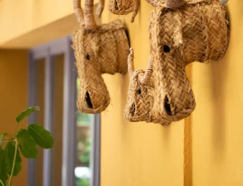 Espacio de comedor y diseño de interiores El Genial